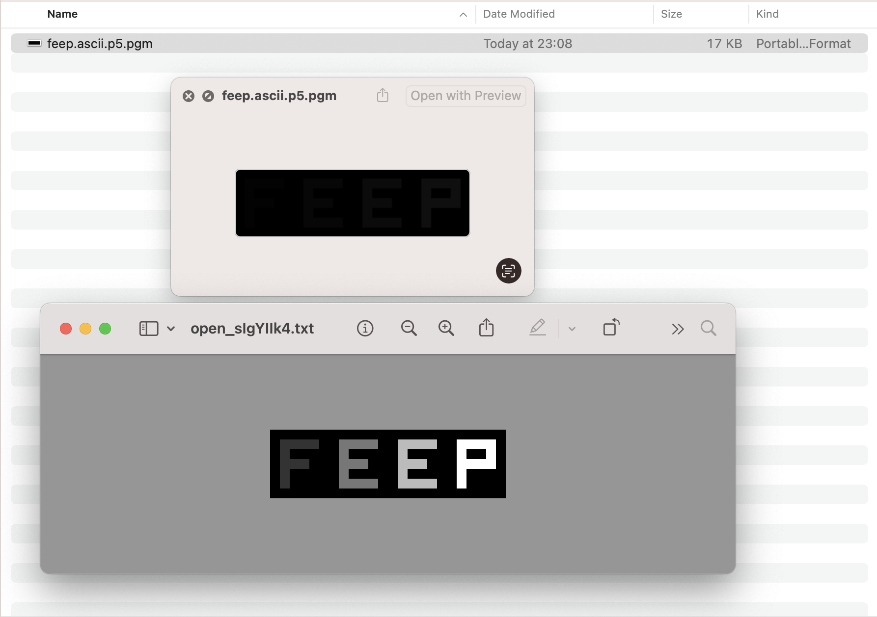 Finder screenshot with wrongly rendered pgm file